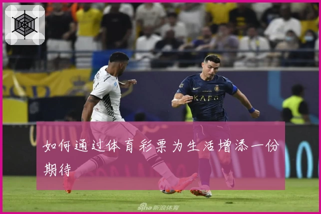 如何通过体育彩票为生活增添一份期待