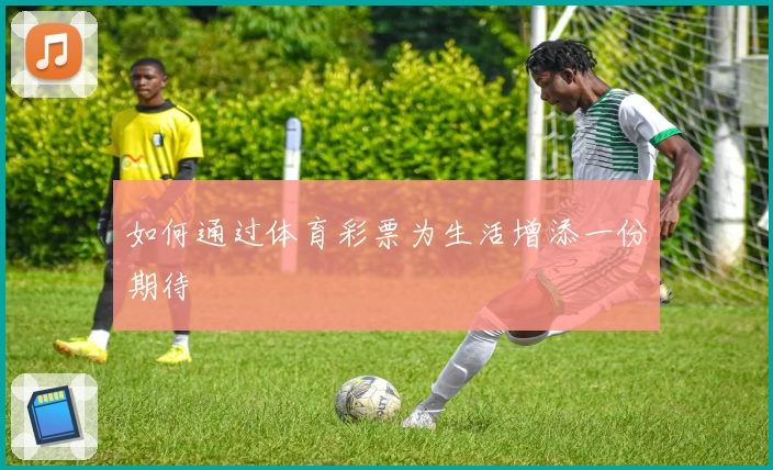 如何通过体育彩票为生活增添一份期待