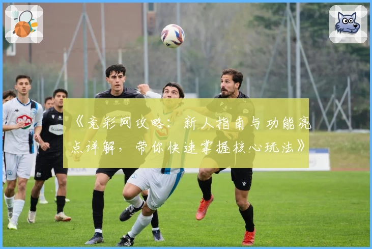 《竞彩网攻略：新人指南与功能亮点详解，带你快速掌握核心玩法》