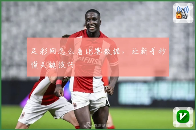 足彩网怎么看比赛数据，让新手秒懂关键技巧