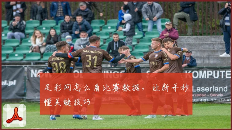 足彩网怎么看比赛数据，让新手秒懂关键技巧