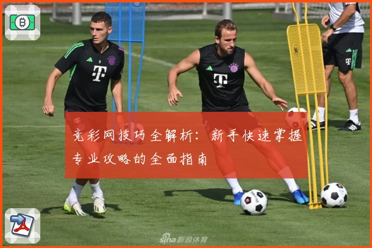 竞彩网技巧全解析:新手快速掌握专业攻略的全面指南