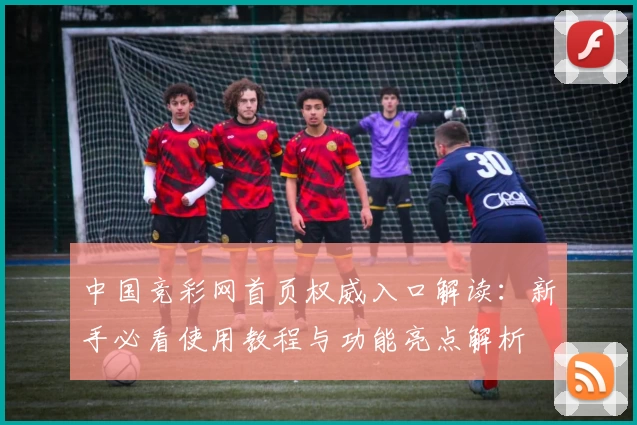 中国竞彩网首页权威入口解读：新手必看使用教程与功能亮点解析