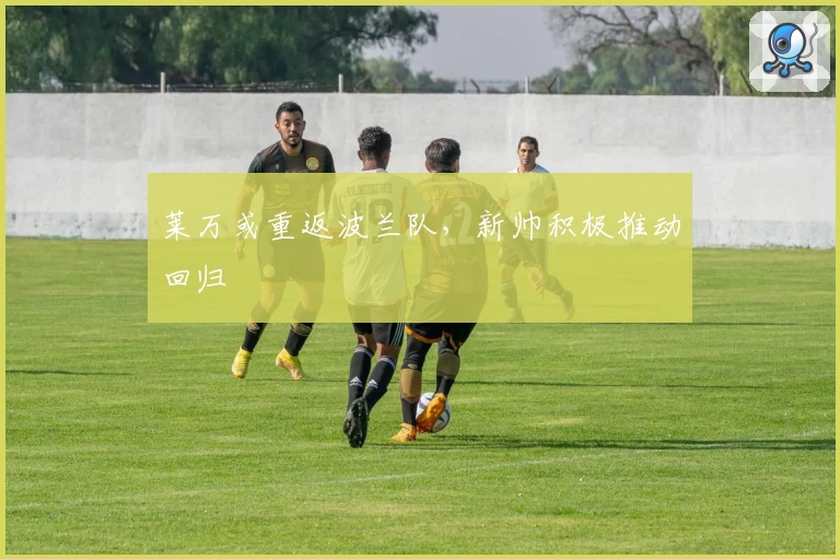 莱万或重返波兰队，新帅积极推动回归