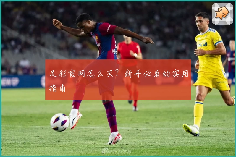 足彩官网怎么买？新手必看的实用指南